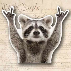Funny and Cute Rock On Raccoon sticker Decal Sticker 4.25&quot; Wide Vinyl