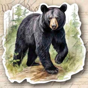 Black Bear  4.5&quot; Tall Sticker Outdoor Sportsman Hunting Decal