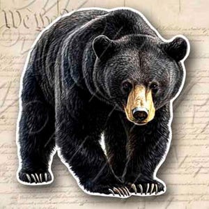 Black Bear  4.75&quot; Tall Sticker Outdoor Sportsman Hunting Decal