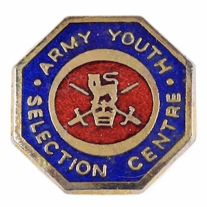 Vintage The Army Youth Selection Centre Enamel Badge
