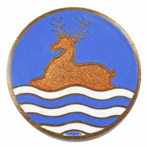 Vintage Old Girl Guides County Of Hertfordshire Identification Enamel Badge Brooch