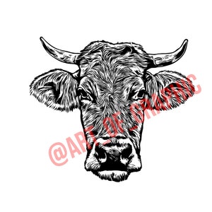 Cow Head .SVG .PNG