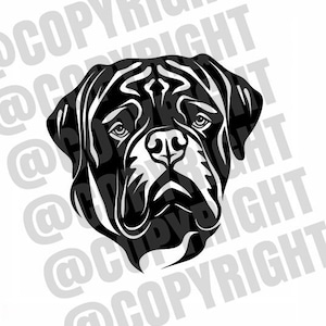 Dogue De Bordeaux Face Design Gráfico .SVG