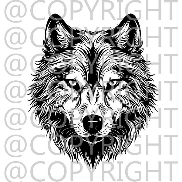 American  Grey Wolf Head  .PNG .SVG