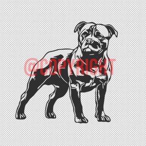 Staffordshire Bull Terrier Vector .SVG .PNG