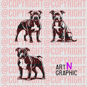 Staffordshire Bull Terrier 3 Design Bundle Vector .SVG .PNG