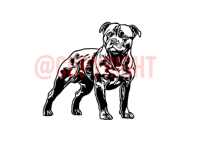 Free Staffordshire Bull Terrier Svg 233 SVG PNG EPS DXF File