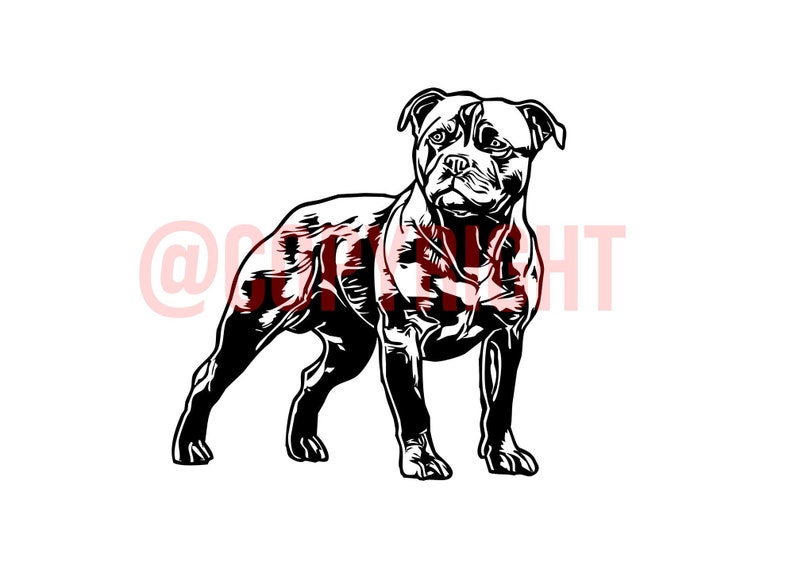 Free Free 221 Staffordshire Bull Terrier Svg SVG PNG EPS DXF File