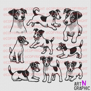 Jack Russell Terrier 9 Paquete de diseño Vector .SVG .PNG