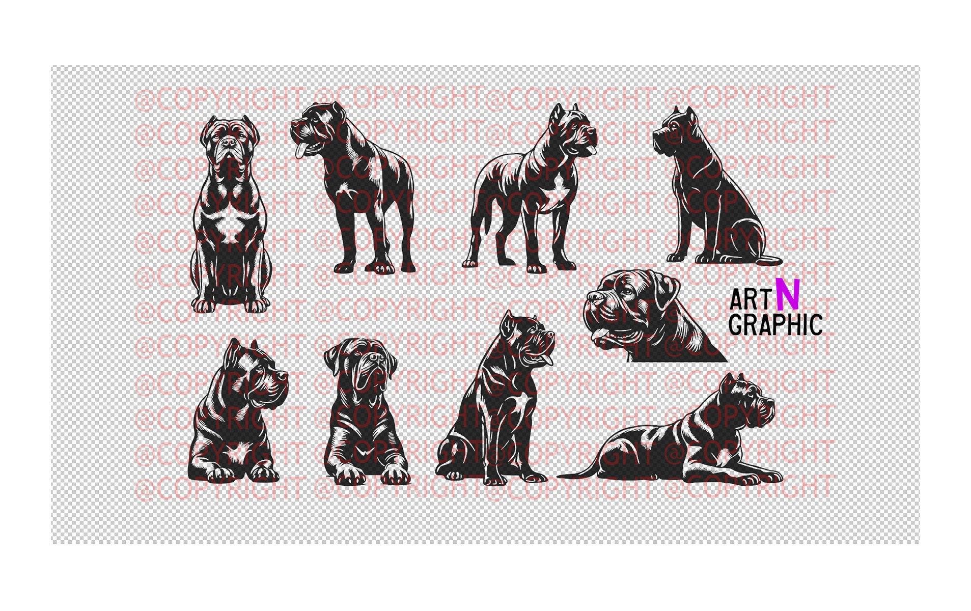 Cane Corso 9 Design Bundle Vector .SVG .PNG