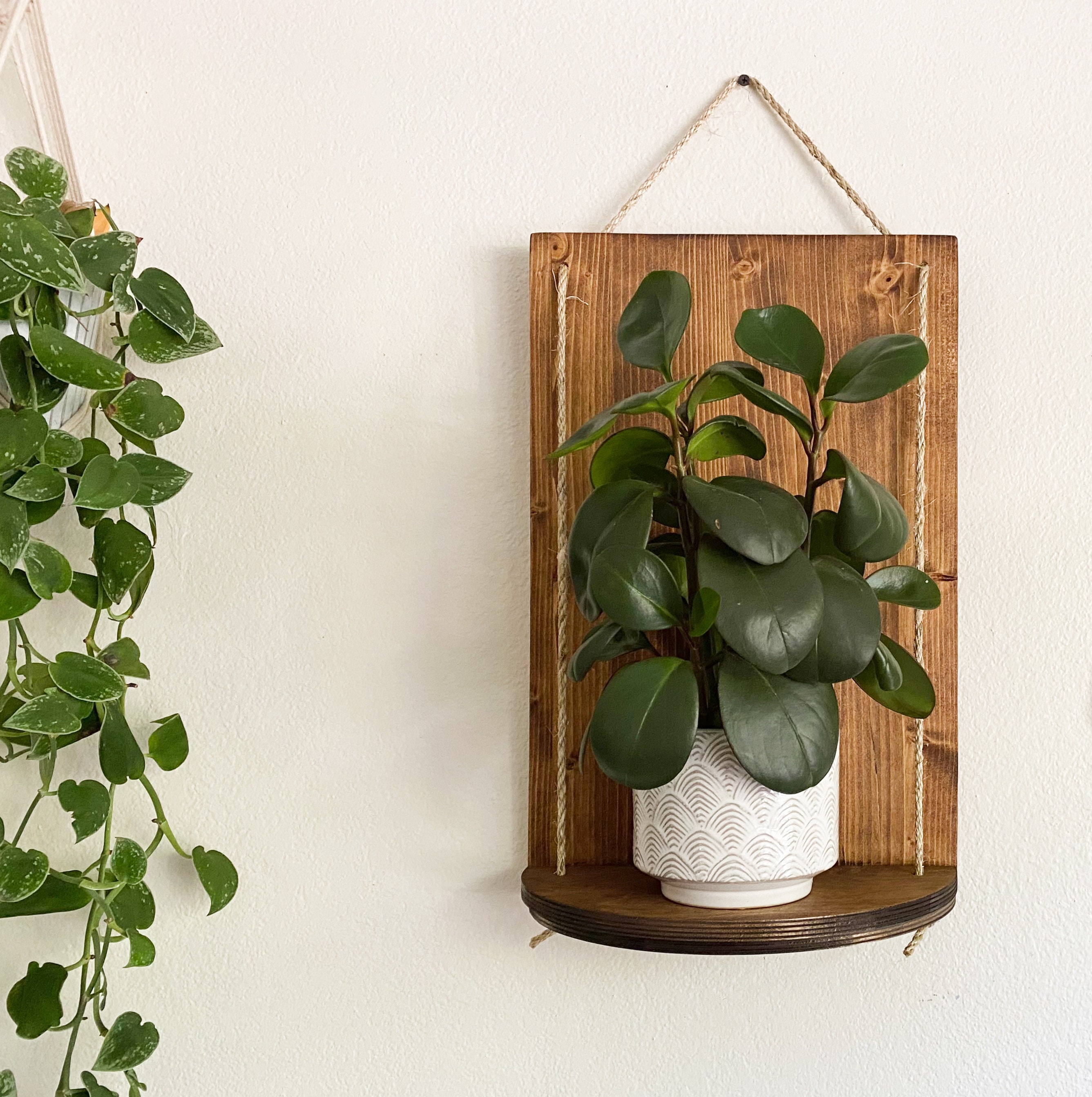 Hanging Plant Shelf wood Medium Stain Free Shipping Etsy