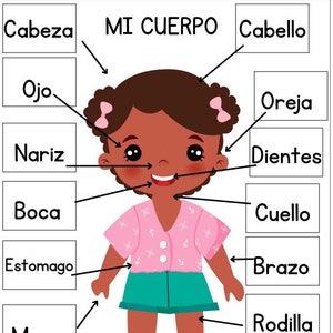 ESPAÑOL Partes del cuerpo para niños, Guía de estudio interactiva imprimible, Anatomía del cuerpo, Unidad de ciencias, Estudio de atención médica