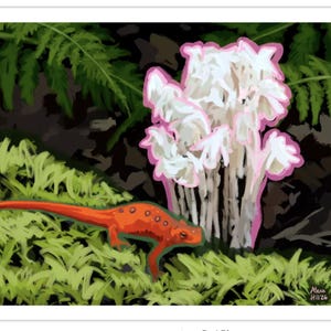 May include: A digital illustration featuring a bright orange salamander with dark spots crawling across a patch of vibrant green moss. Beside the salamander stands a cluster of white ghost pipe flowers with pink outlines. Signed Alexa Hill '26.