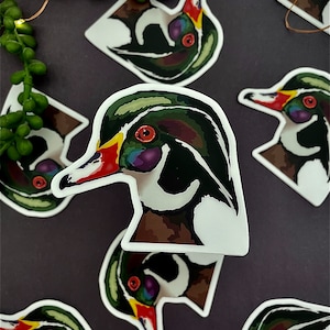Wood Duck Sticker