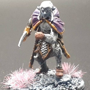 May include: A miniature fantasy figure of a humanoid character with gray skin, wearing a purple cloak with gold trim and holding a silver weapon. The figure stands on a rocky base with pink tufts of grass.