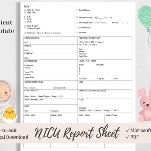 NICU Report Sheet, Baby Nurse Brain, Neonatal Nursing, Microsoft Word, PDF