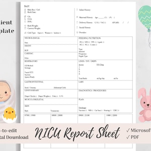 NICU Report Sheet, Baby Nurse Brain, Neonatal Nursing, Microsoft Word, PDF