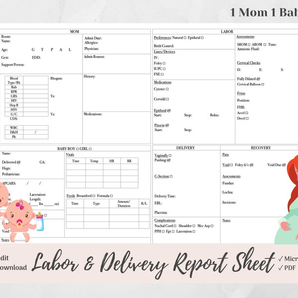 Labor and Delivery Nurse Brain Report Sheet, 1 Mom and 1 Baby, L&D, Microsoft Word, PDF