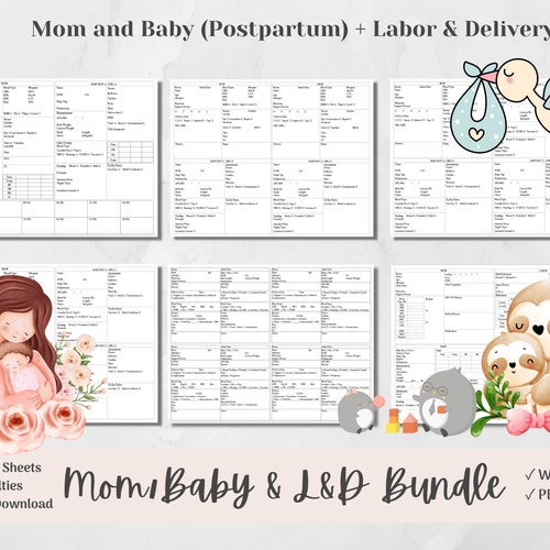 Detailed Mom & Baby Nurse Brain Report Sheet for 1 Couplet 1 - Etsy