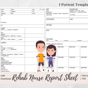 Inpatient Rehab Nurse Report Sheet for 1 Patient, Rehabilitation Nurse Brain, Microsoft Word, PDF