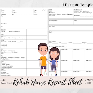 Inpatient Rehab Nurse Report Sheet for 1 Patient, Rehabilitation Nurse Brain, Microsoft Word, PDF