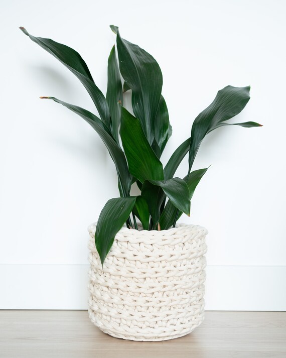 Indoor plant pot | Large | Natural