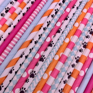 Bluey Party Straws 