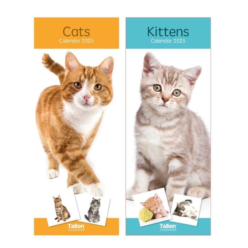 Calendrier De Bureau 2026 – Thème Chats & Chiens – Agenda Mensuel Pour École, Maison, Bureau