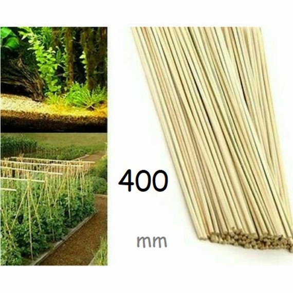 65 X Bamboo Plant Sticks Grow Support Sticks Garden Potted Etsy