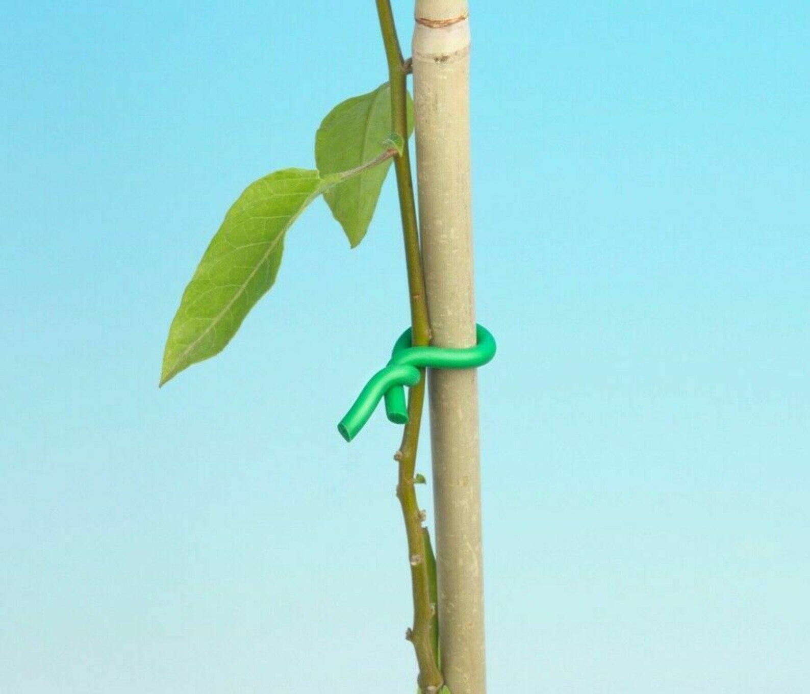 Plant Twist Ties 5m Support Soft Reusable Bendy Twine