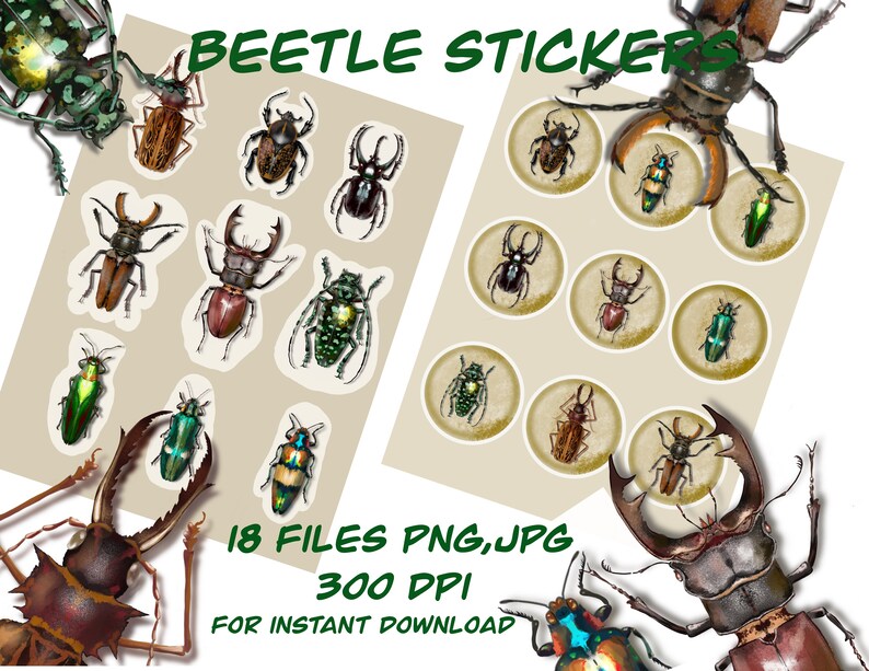 downloadable images stickers pack scrapbook paper,stickers vintage beetles bugs clip art,Insect leaf cliparts PNG