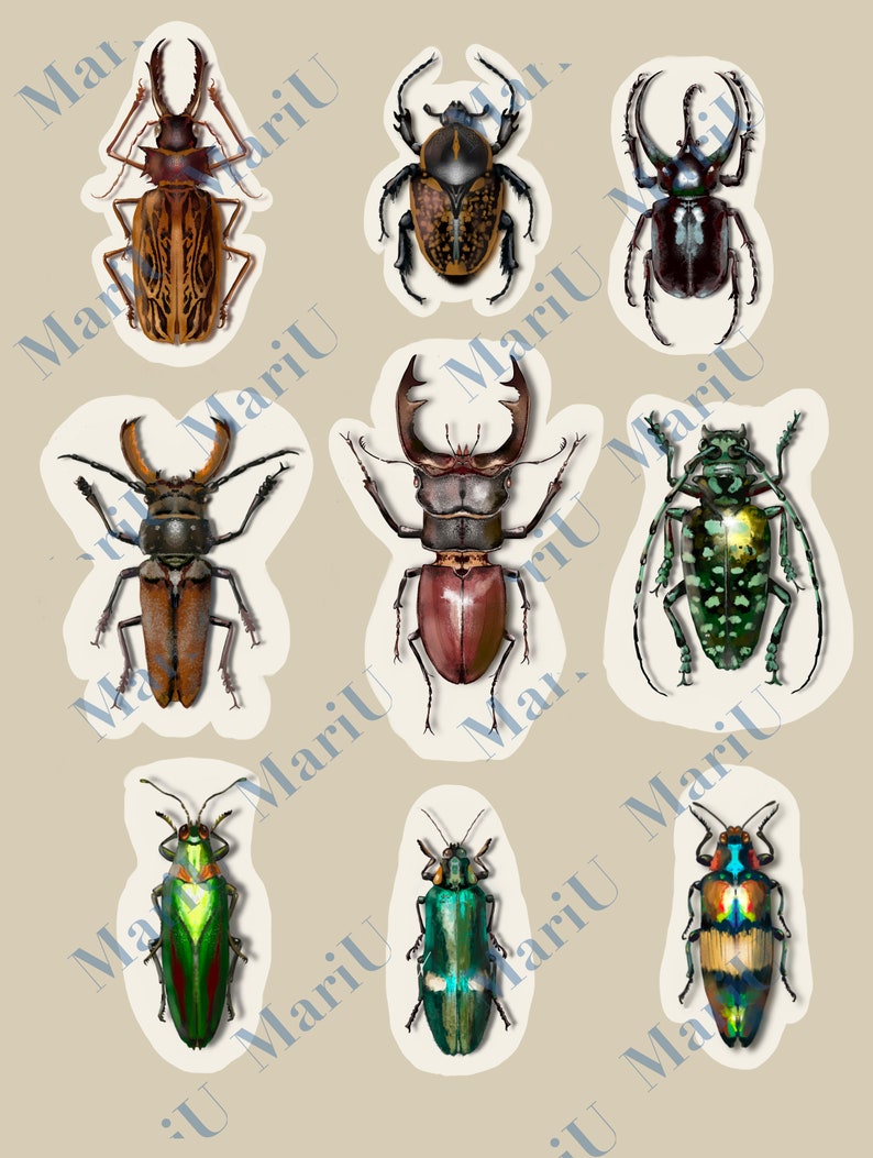 downloadable images stickers pack scrapbook paper,stickers vintage beetles bugs clip art,Insect leaf cliparts PNG