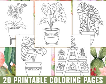 Plant Coloring Page Etsy