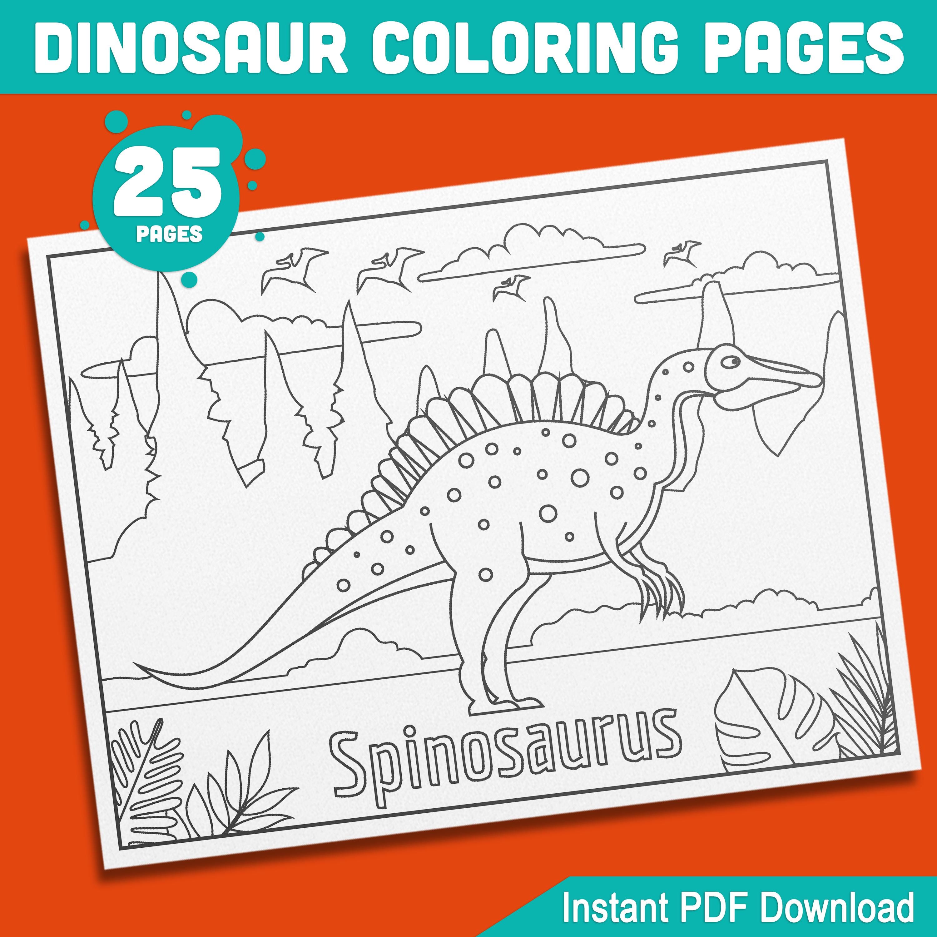 Baker Ross - 8 Planeurs Dinosaures à Colorier - Idéal Pour Sacs Surprise Ou Cadeaux Enfants