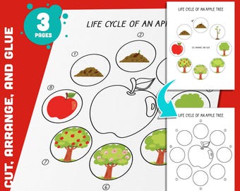 May include: A printable educational activity for kids to learn about the life cycle of an apple tree. The activity includes a cut, arrange, and glue activity with images of an apple seed, a sprout, a tree with blossoms, a tree with apples, and a single apple. The text "Life Cycle of an Apple Tree" is included on the page.