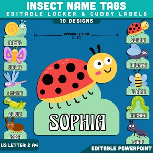 Pode incluir: Um conjunto de 10 etiquetas de nome com tema de insetos para armários, com ilustrações coloridas de caracol, borboleta, libélula, gafanhoto, besouro, joaninha, abelha, lagarta e formiga. Cada etiqueta mede cerca de 7,6 cm de largura.