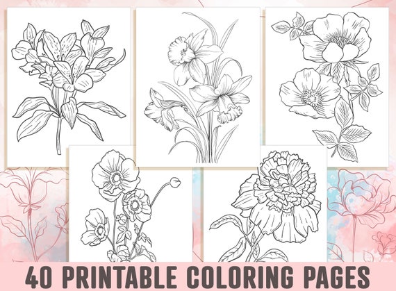 Floral Coloring Pages  40 Beautiful Floral and Flower