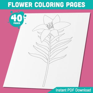 Blumen und Blätter zum Ausmalen für Kinder und Erwachsene: 40 druckbare Designs, hochauflösende PDF, sofortiger Download