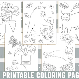 May include: A set of 25 printable coloring pages featuring cute cats in various poses and settings. The pages include cats playing with toys, relaxing in plants, and enjoying treats.  These black and white illustrations are perfect for kids and adults who love to color.