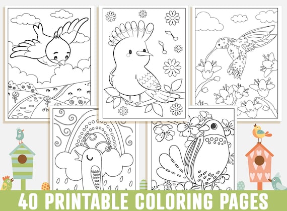 COOL ANIMALS & BIRDS coloring book for kids NO.2: Coloring Pages, Easy,  LARGE, GIANT Simple Picture Coloring Books for Toddlers, Kids Ages 6-8,  Presch (Paperback)