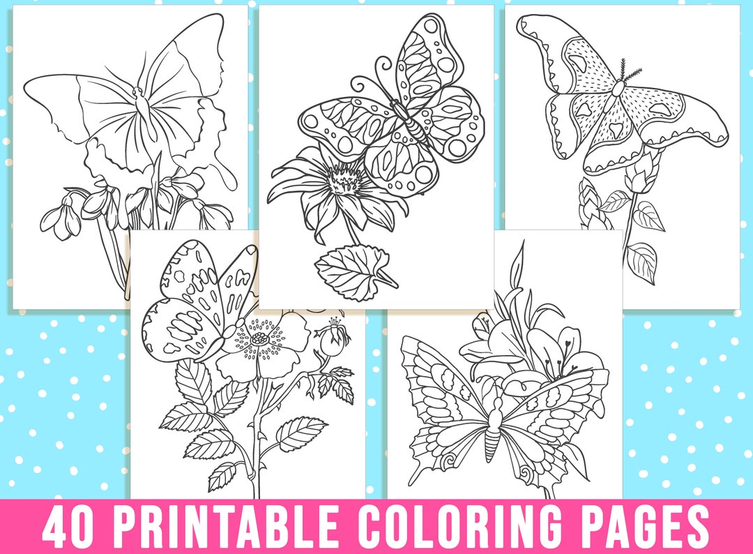 Butterfly Coloring Pages, 40 Printable Butterfly and Flower Coloring