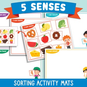 Five Senses Sorting Set for Preschool, Pre-k, and Kindergarten ...
