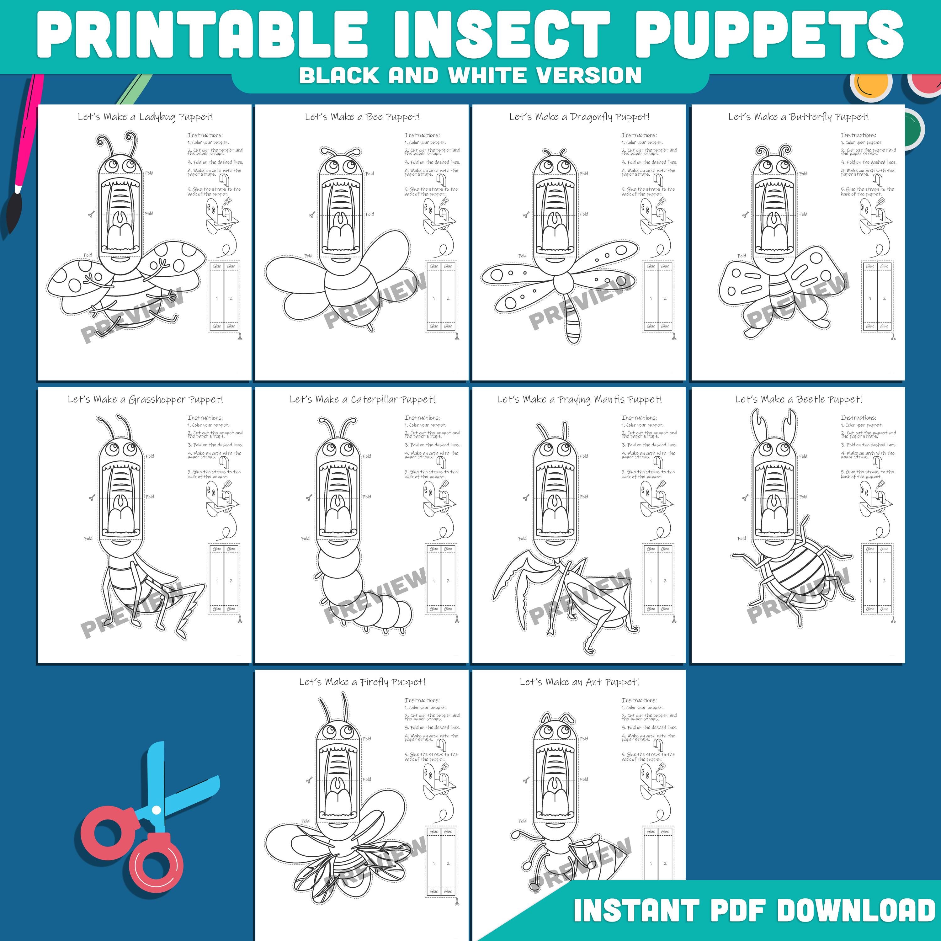 Insect Tempates Insect Puppet Templates for Kids: 20-page Craft With Pre-colored ...