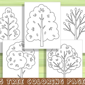 25 Beautiful Tree Coloring Pages for Preschool and Kindergarten, PDF ...