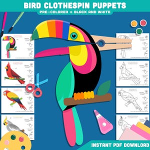 May include: A colorful toucan bird clothespin puppet design with a large beak, perched on a branch. The image includes instructions and other bird designs. Text reads "BIRD CLOTHESPIN PUPPETS" and "INSTANT PDF DOWNLOAD".