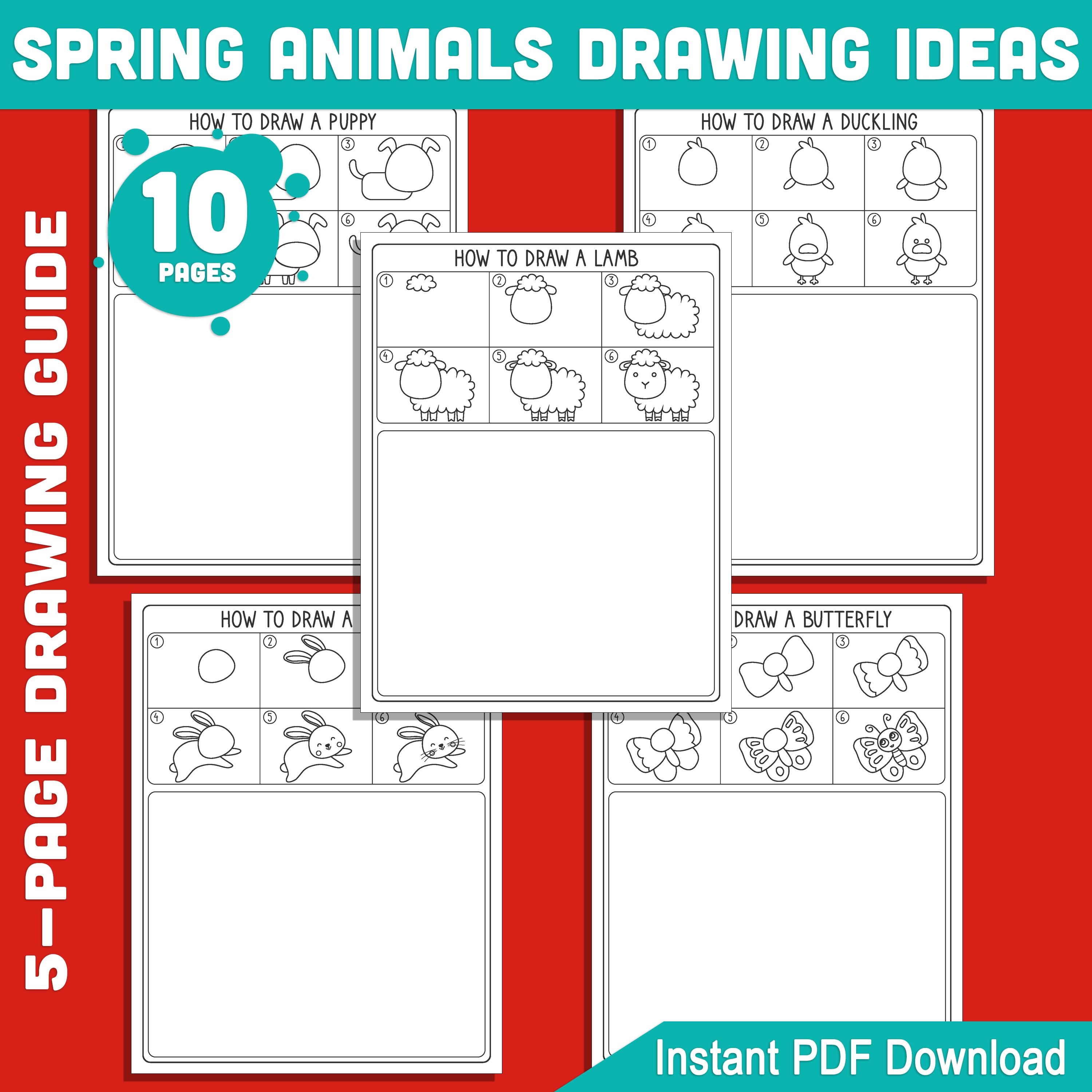 Spring Animal Draw Spring Animals Drawing Ideas: 5 Directed Drawings+5 Coloring Pages ...