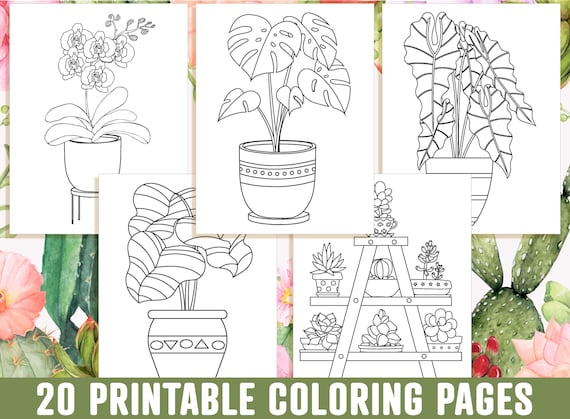 House Plant Coloring Pages