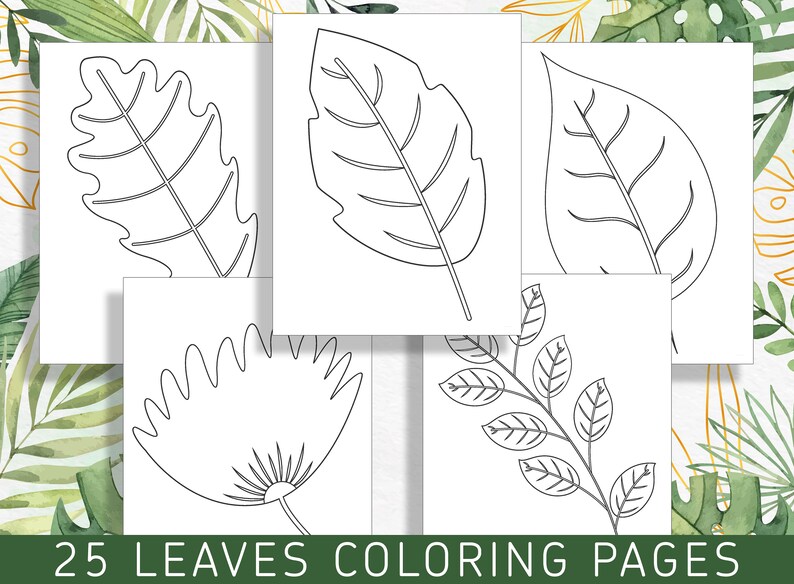 Leaf Color Book Leaf Coloring Pages: 25 Exquisite Coloring Book Designs for Stress ...