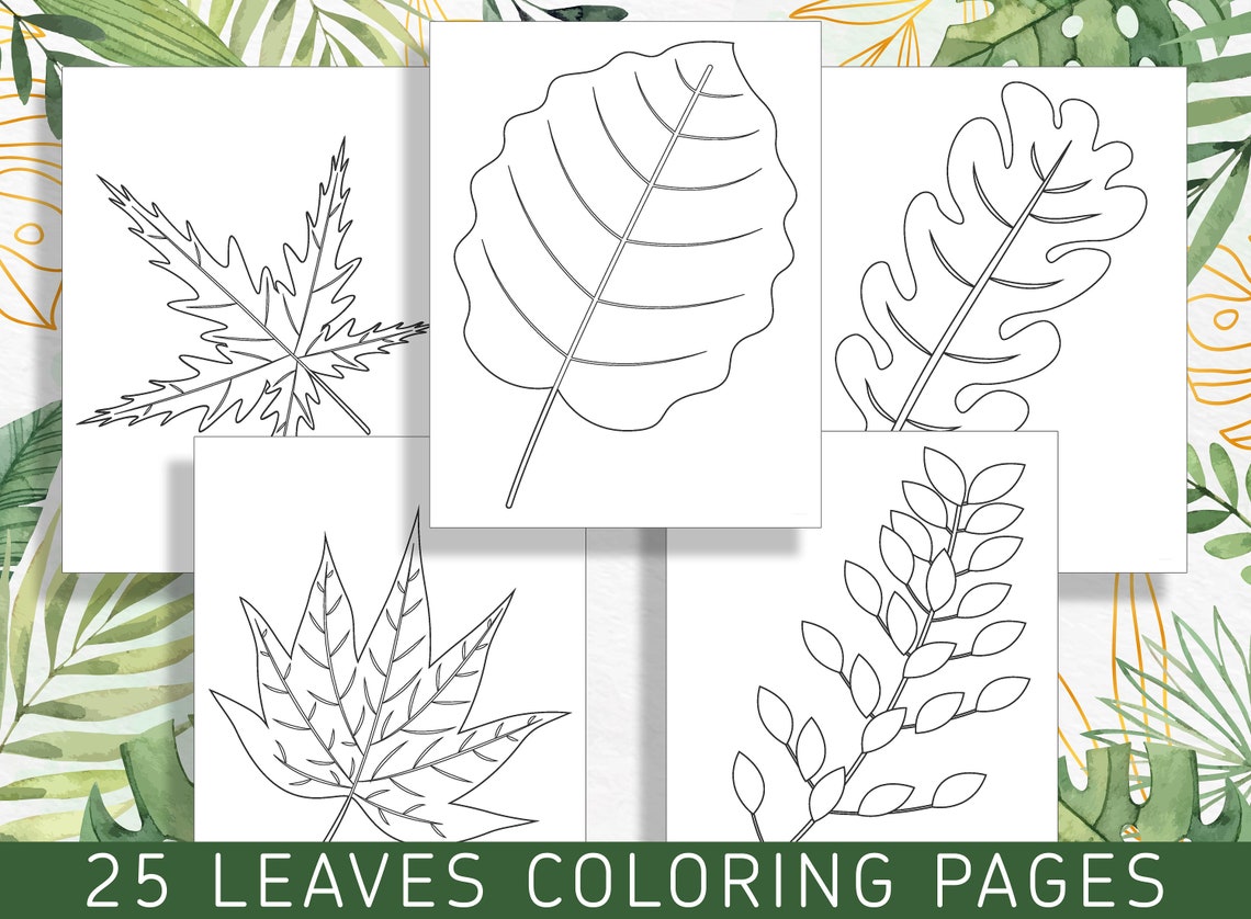 Leaf Color Book Leaf Coloring Pages: 25 Exquisite Coloring Book Designs for Stress ...