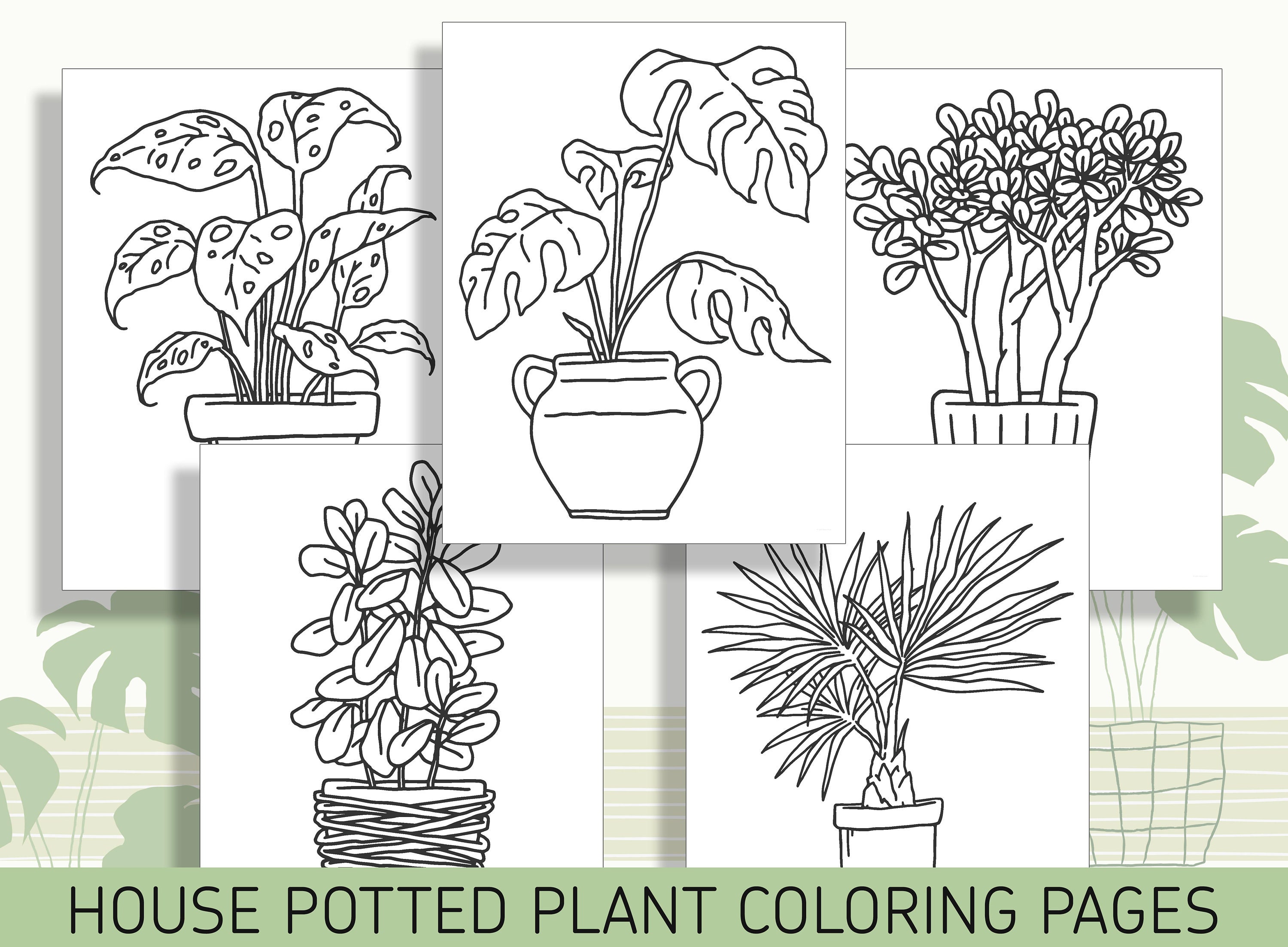 House Plant Coloring Pages